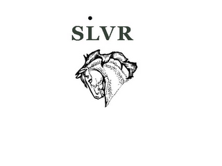 SLVR logo