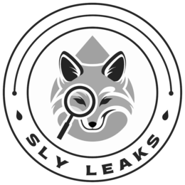 SLY LEAKS logo