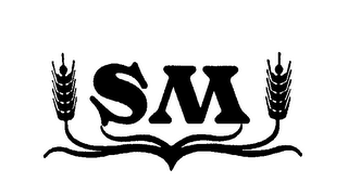 SM logo