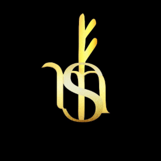 SM logo