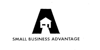 SMALL BUSINESS ADVANTAGE logo