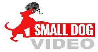SMALL DOG VIDEO logo
