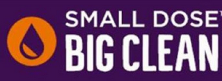 SMALL DOSE BIG CLEAN logo