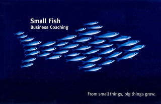 SMALL FISH BUSINESS COACHING FROM SMALL THINGS, BIG THINGS GROW. logo