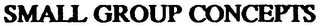 SMALL GROUP CONCEPTS logo