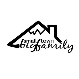 SMALL TOWN BIG FAMILY logo