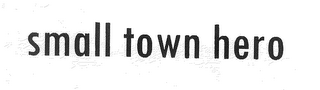 SMALL TOWN HERO logo