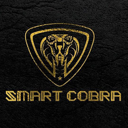 SMART COBRA logo