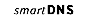 SMART DNS logo