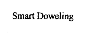 SMART DOWELING logo