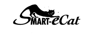 SMART-ECAT logo