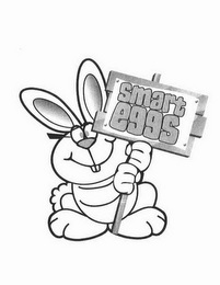 SMART EGGS logo