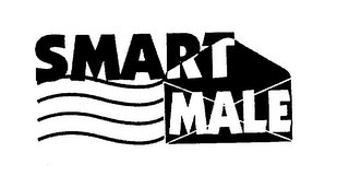 SMART MALE logo