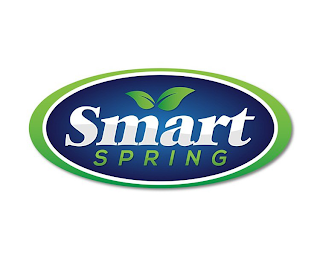 SMART SPRING logo