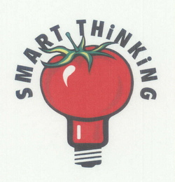 SMART THINKING logo