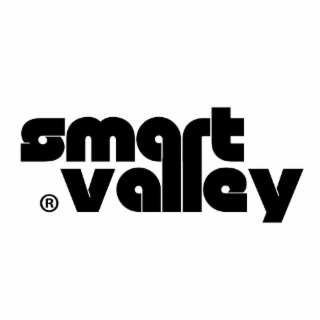 SMART VALLEY logo