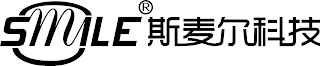 SMILE logo