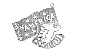SMILE 'N' AMERICA logo
