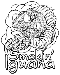 SMOKIN' IGUANA logo
