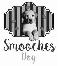 SMOOCHES DOG logo