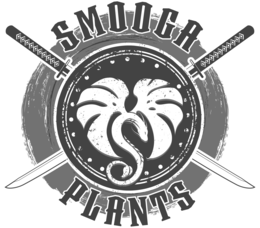 SMOOGA PLANTS logo