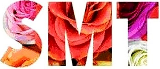 SMT logo