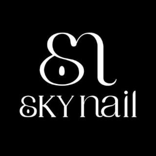 SN SKY NAIL logo
