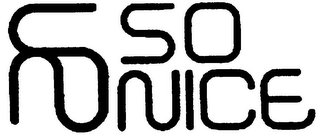 SN SO NICE logo
