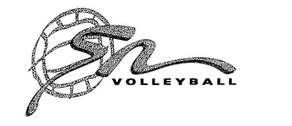 SN VOLLEYBALL logo