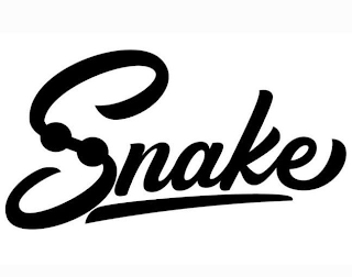 SNAKE logo