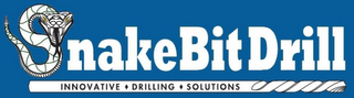 SNAKEBIT DRILL AND INNOVATIVE · DRILLING· SOLUTIONS logo