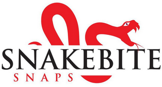 SNAKEBITE SNAPS logo