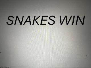 SNAKES WIN logo