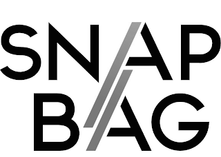 SNAP BAG logo