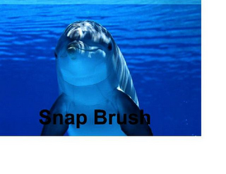 SNAP BRUSH logo
