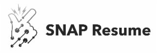 SNAP RESUME logo