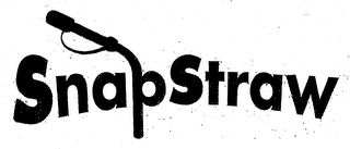 SNAP STRAW logo