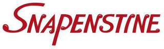 SNAPENSTINE logo