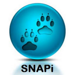 SNAPI logo