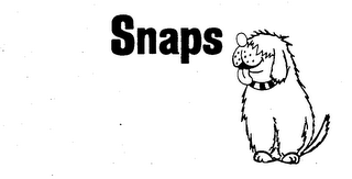 SNAPS logo