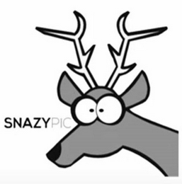 SNAZYPIC logo