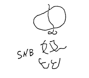 SNB logo