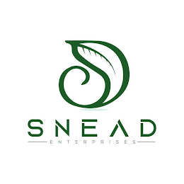 SNEAD ENTERPRISES logo