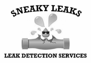 SNEAKY LEAKS LEAK DETECTION SERVICES logo