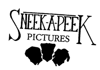 SNEEK-A-PEEK PICTURES logo