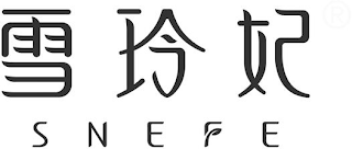 SNEFE logo