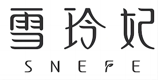 SNEFE logo
