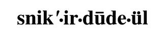 SNIK IR DUDE UL logo