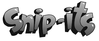 SNIP-ITS logo