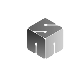 SNN logo
